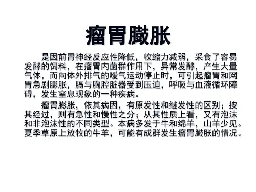 4瘤胃臌胀