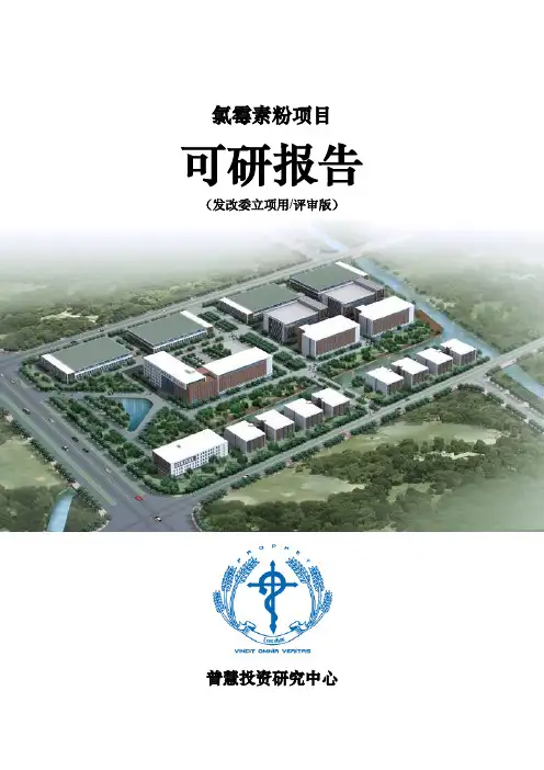 氯霉素粉项目可研报告发改委立项用(评审版)