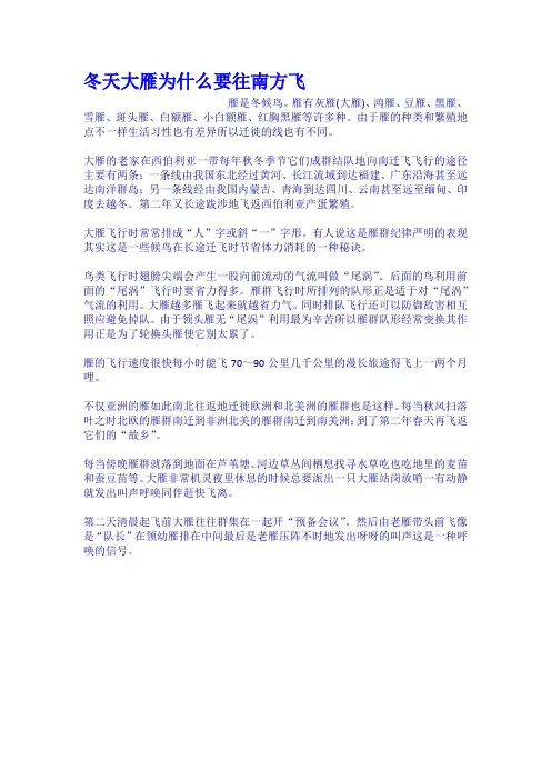 冬天大雁为什么要往南方飞