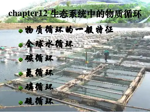 生态系统中的物质循环