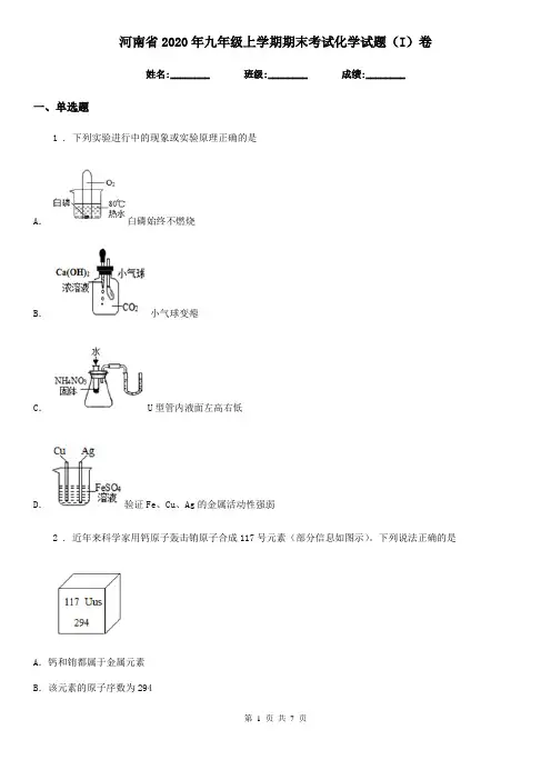 河南省2020年九年级上学期期末考试化学试题(I)卷