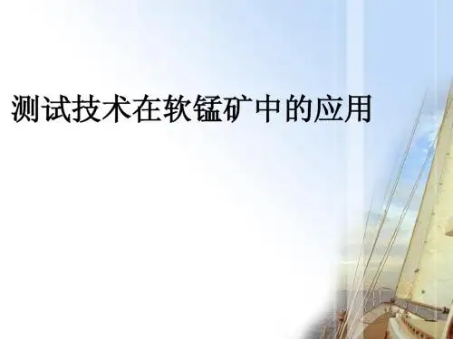 测试技术在软锰矿中的应用