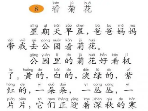 演示文稿8看菊花