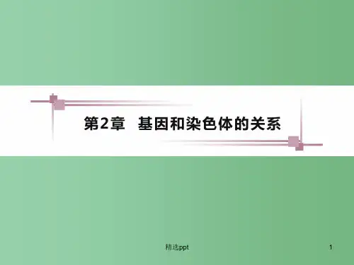 高中生物 2.2-2.3基因在染色体上、伴性遗传课件 新人教版必修2
