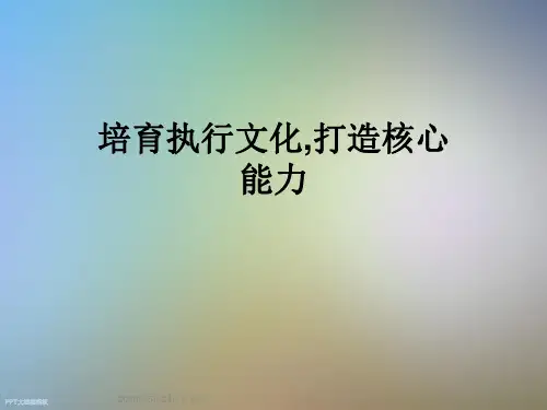 培育执行文化,打造核心能力