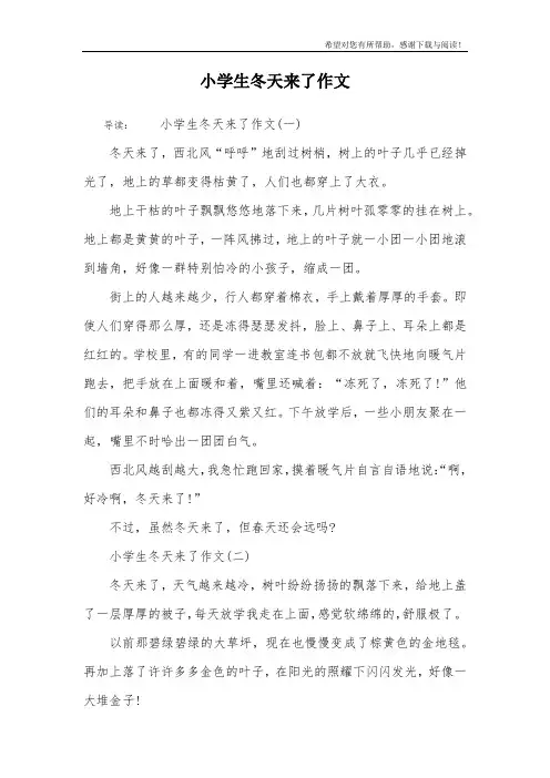 小学生冬天来了作文_1