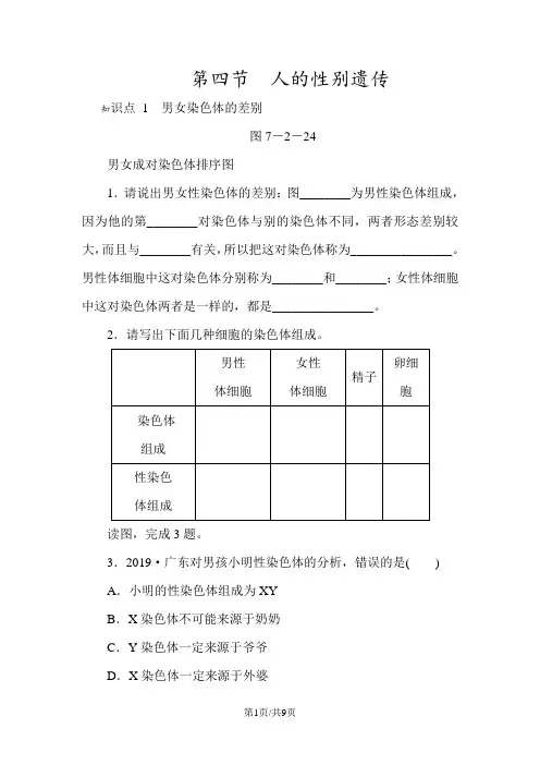 人教版八年级生物下册同步练习：第七单元第二章  第四节 人的性别遗传