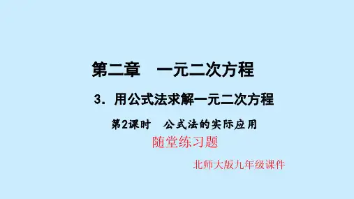 北师大版九年级数学上册第二章一元二次方程3用公式法求解一元二次方程第2课时公式法的实际应用作业课件