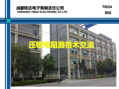 压敏电阻技术交流文稿