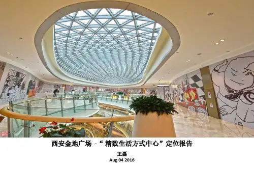 西安金地广场定位报告