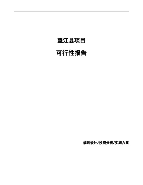 望江县可行性报告编写参考