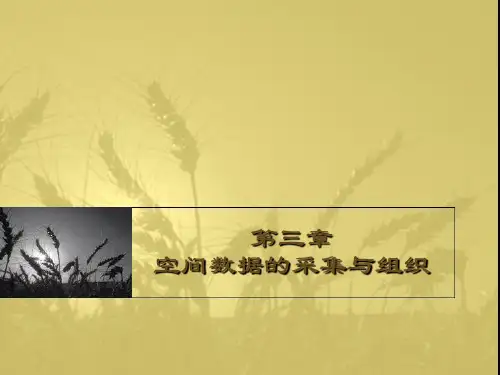 第3章 空间数据的采集与组织
