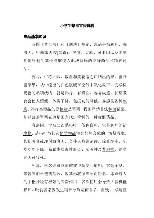小学生禁毒宣传