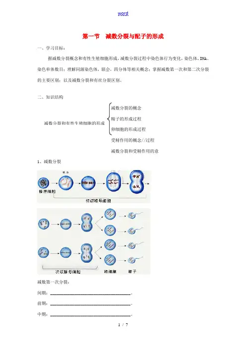 高中生物：减数分裂与配子形成中图版必修2