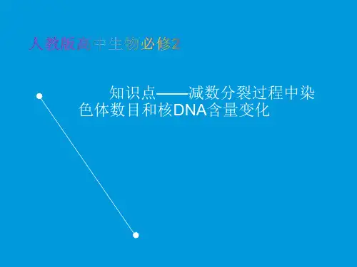 人教版高中生物必修2教学课件知识点-减数分裂过程中染色体数目和核DNA含量的变化