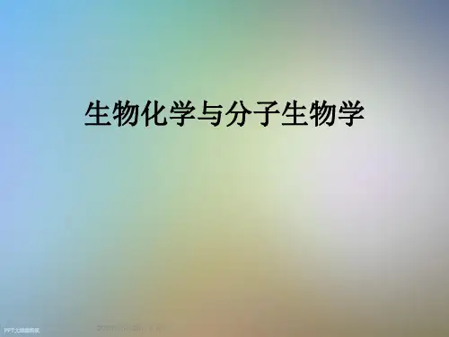 生物化学与分子生物学