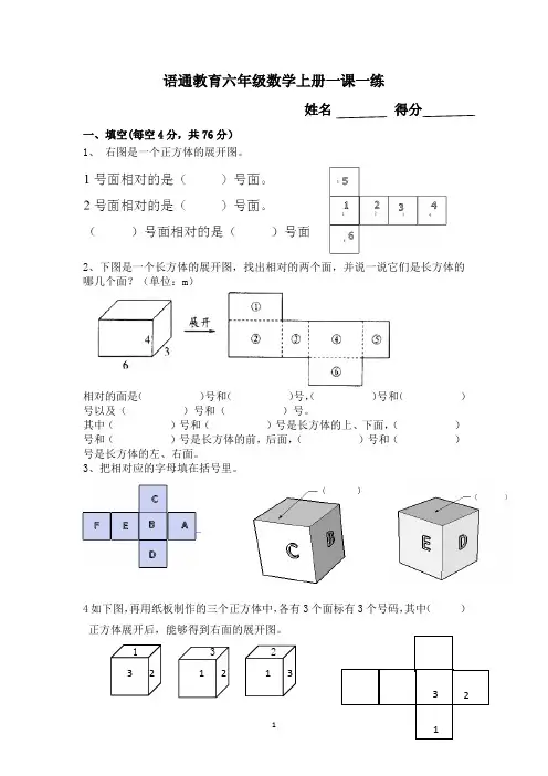 长方体和正方体展开图2