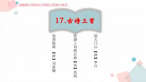 三年级上册语文课件_17古诗三首望洞庭人教(部编版)(20200607111219)