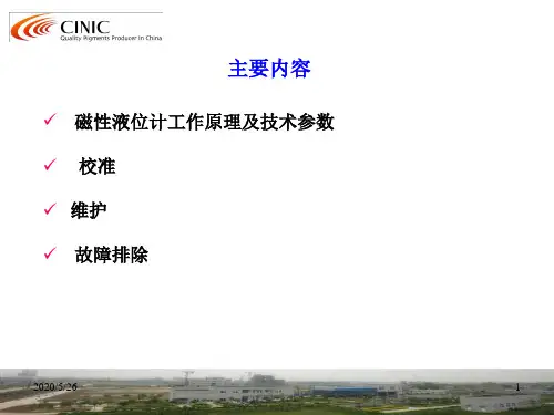 磁性液位计-.