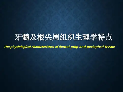 牙髓及根尖周组织生理学特点