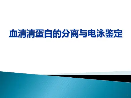生化实验：血清清蛋白的分离与电泳鉴定(修改)