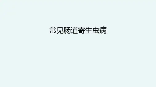 常见肠道寄生虫病