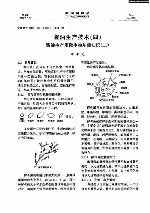 酱油生产技术(四)—酱油生产用微生物基础知识(二)