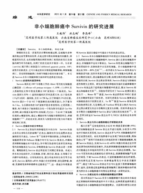 非小细胞肺癌中Survivin的研究进展