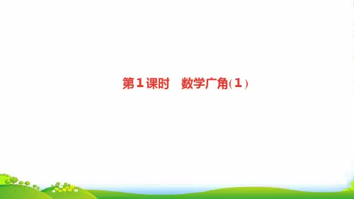 人教版二年级下册数学习题课件-九、数学广角———推理第1课时 数学广角(1)