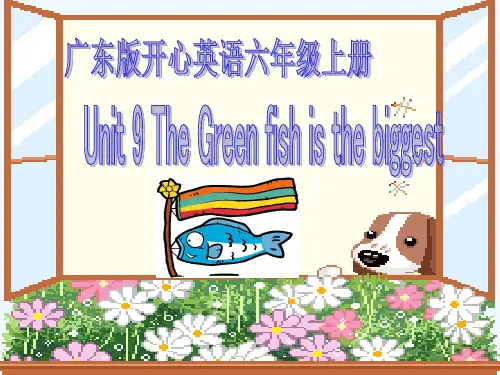 广东开心英语六年级上册