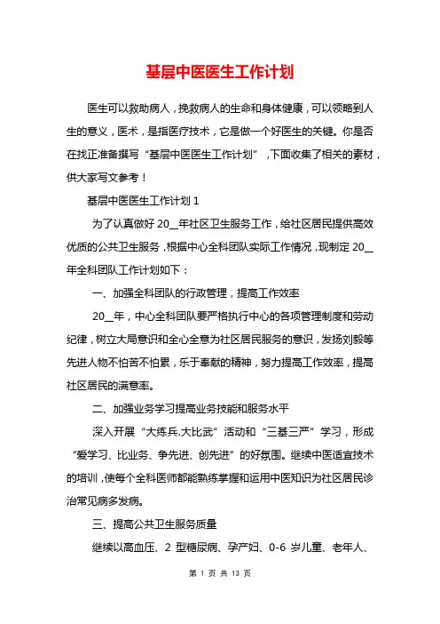 基层中医医生工作计划