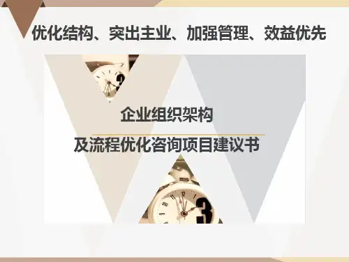 企业组织架构及流程优化咨询项目计划书 PPT