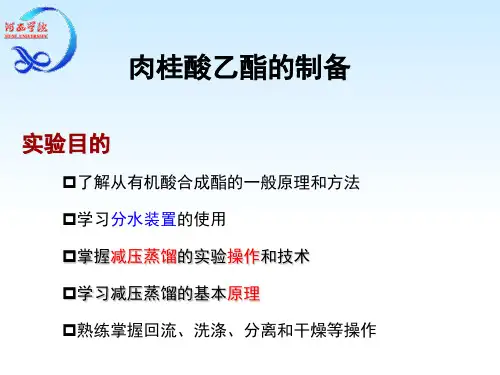 实验:肉桂酸乙酯的制备