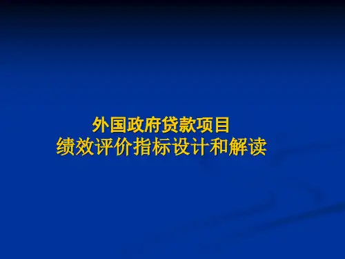 外国政府贷款项目(精)