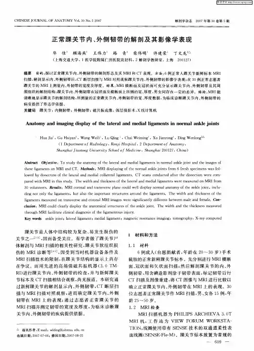 正常踝关节内、外侧韧带的解剖及其影像学表现
