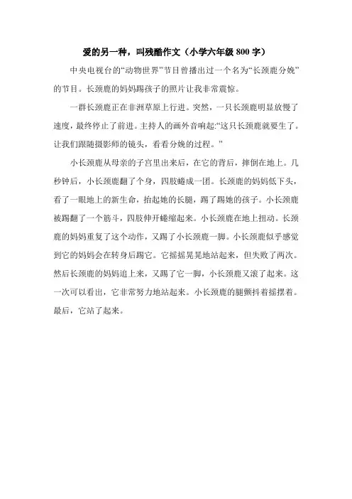 爱的另一种,叫残酷作文(小学六年级800字).doc