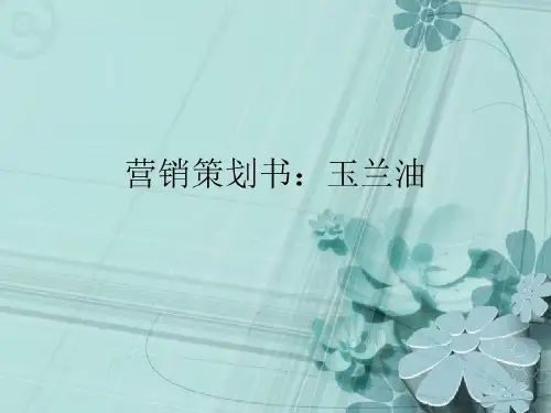 玉兰油营销策划书共32页