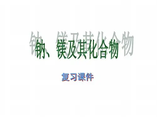 高一化学钠、镁及其化合物