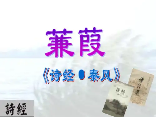 蒹葭