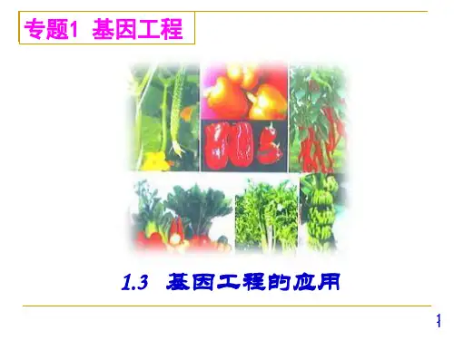 人教版高中选修生物基因工程的应用PPT