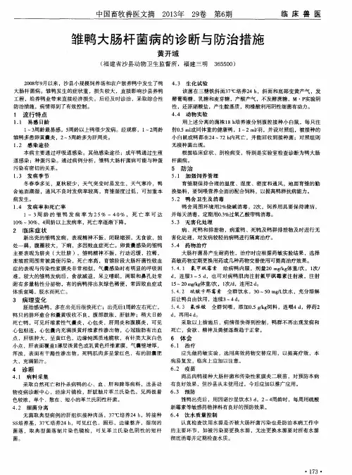 雏鸭大肠杆菌病的诊断与防治措施
