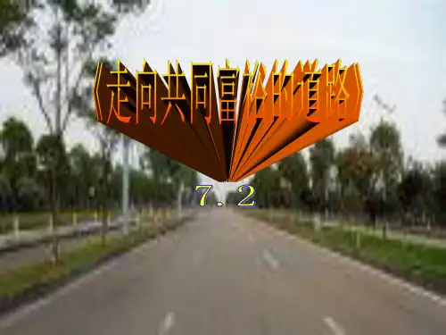 7.2-走向共同富裕的道路