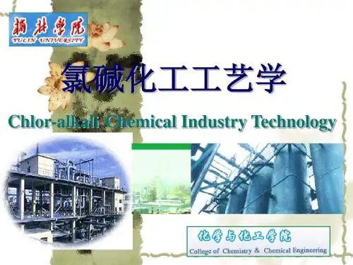 氯碱化工工艺