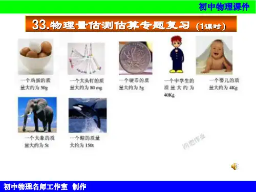 初中物理 物理量估测估算专题复习课件
