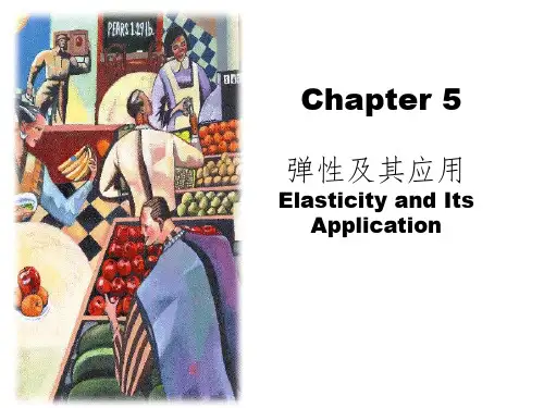 微观经济学chapter5弹性及其应用