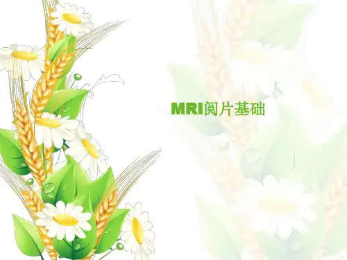 MRI阅片基础ppt课件
