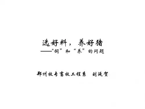 选好料,养好猪