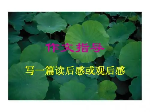 读后感