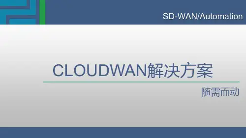 天一科技CLOUDWAN-Solution