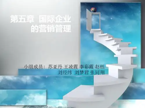 国际企业的营销管理